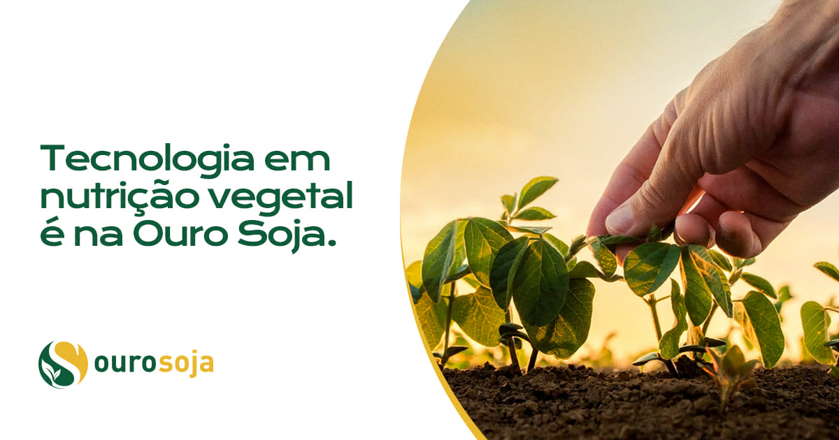 (c) Ourosoja.com.br
