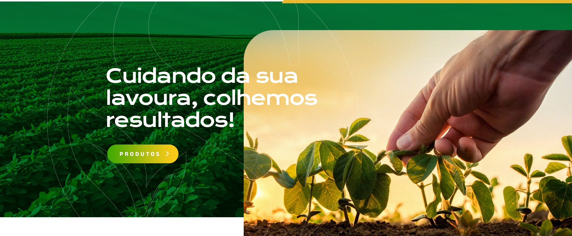 Ouro Soja - Tecnologia em Nutrição Vegetal